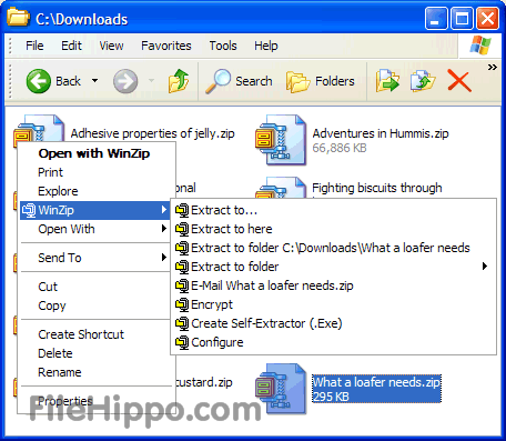 winzip free download for windows 10 filehippo